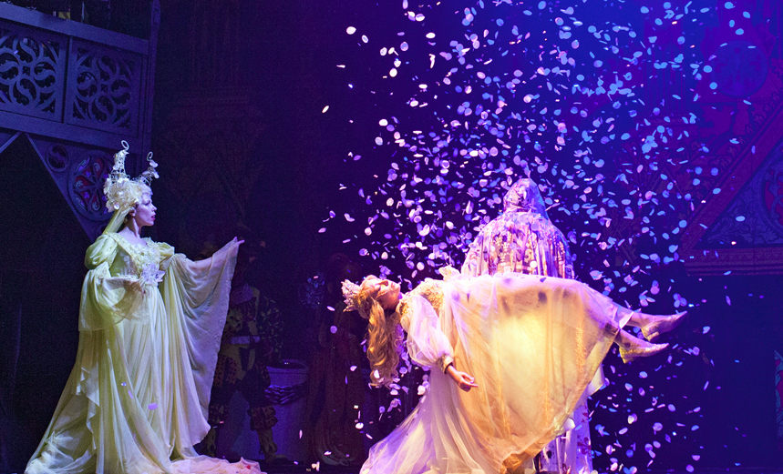 Спящая красавица